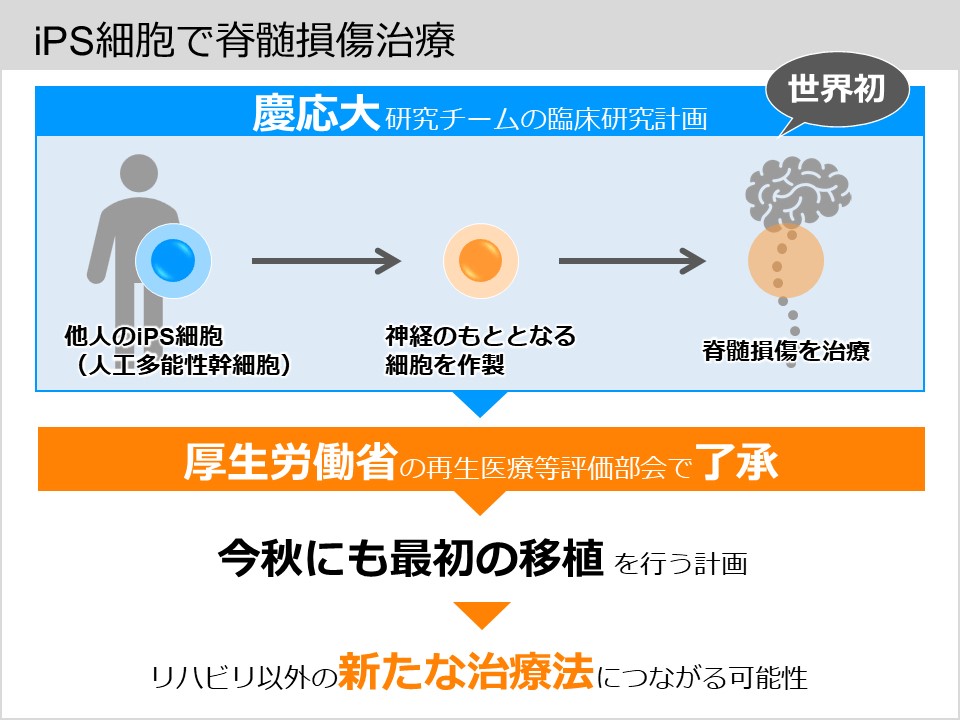 アニメーション前